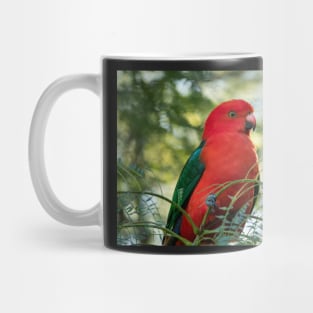 Male King Parrot: Birds of Australia Mug